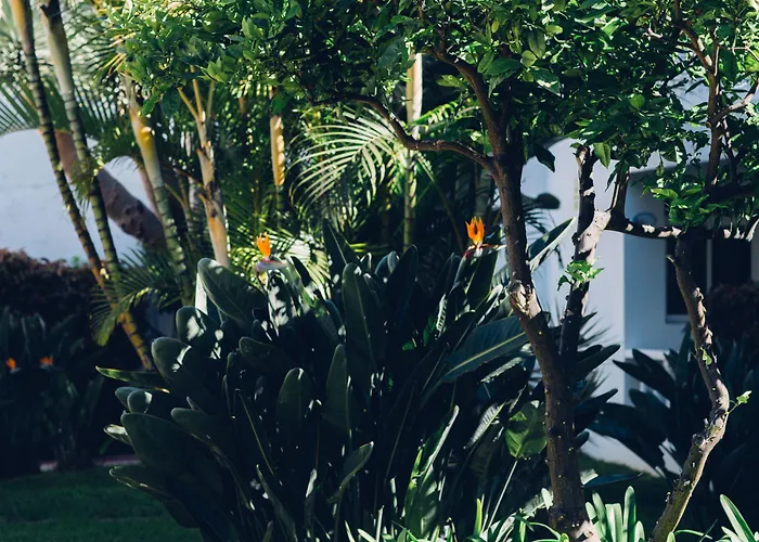 Route Active Отель Лос-Реалехос