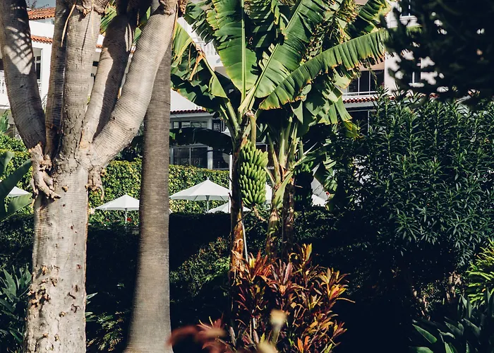 酒店 活跃之路酒店 洛斯雷尔雷赫斯