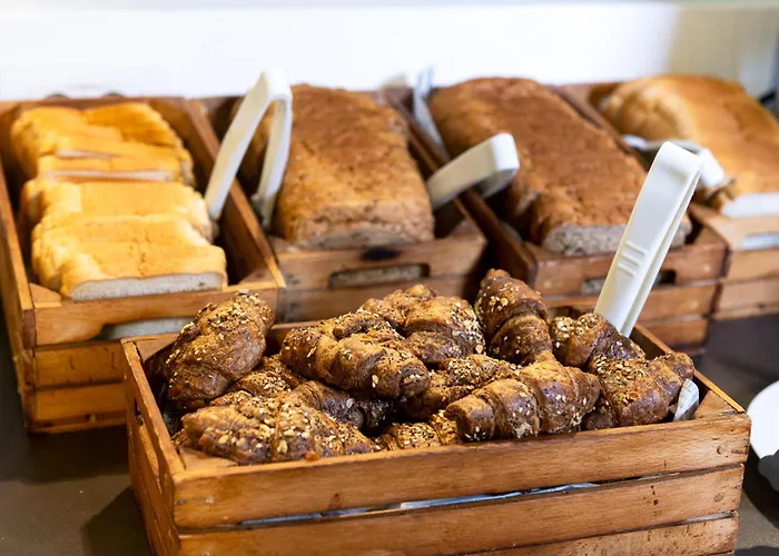 酒店 活跃之路酒店