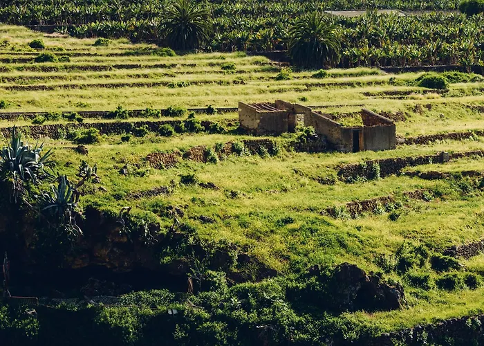 酒店 活跃之路酒店