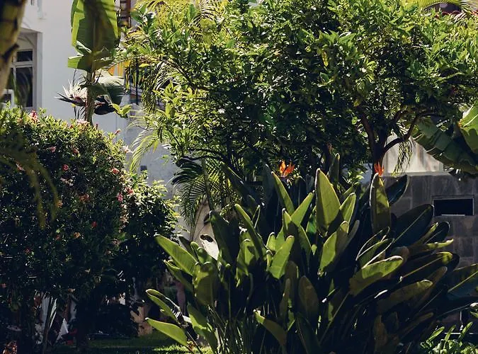 Route Active Hotel Los Realejos